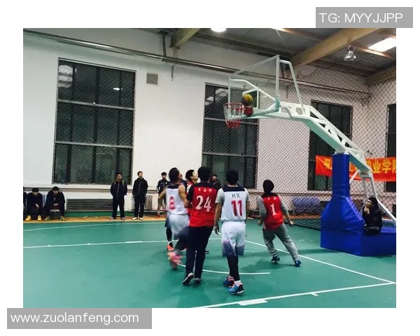 篮球明星苏的传奇之路从校园到职业赛场的辉煌历程与不懈追求